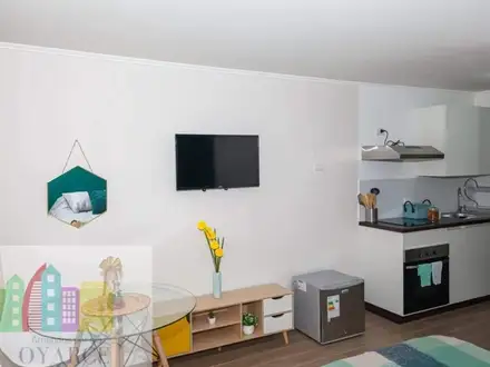 Arriendo temporario de departamento en Santiago