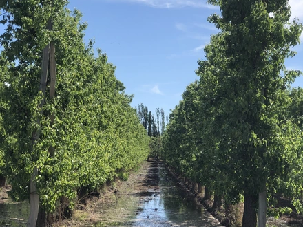 Alquiler temporario de apartamento em Allen
