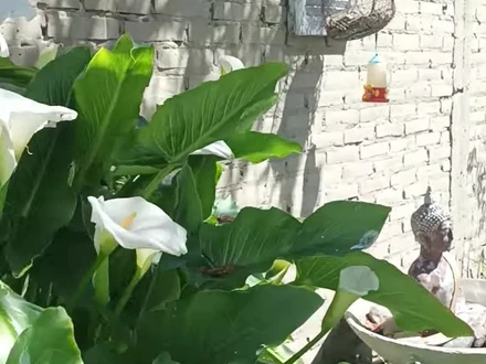 Alquiler temporario de casa em Mar del plata