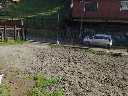 Arriendo temporario de cabana em Castro