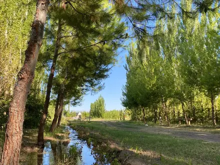 Alquiler temporario de caba&ntilde;a en San rafael