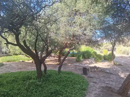 Alquiler temporario de casa en Cafayate