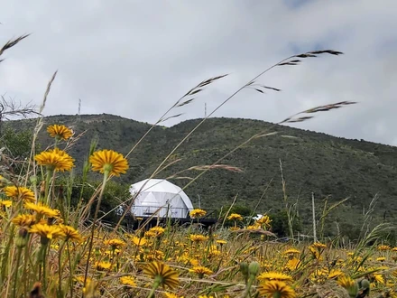 Arriendo temporario de cabana em Los vilos