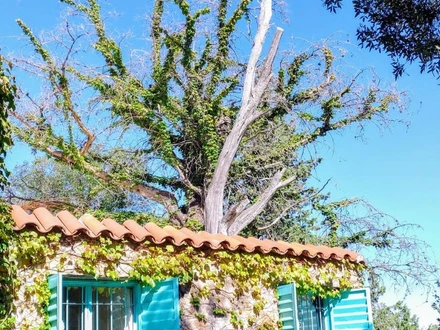 Alquiler temporario de casa en Tanti