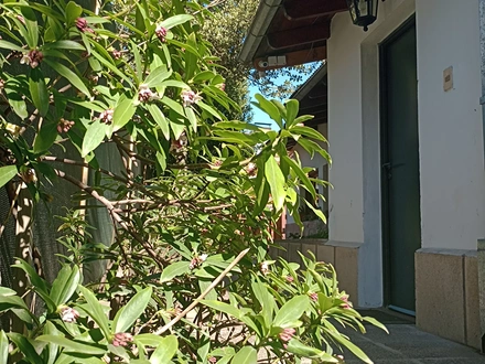 Alquiler temporario de casa en San martin de los andes