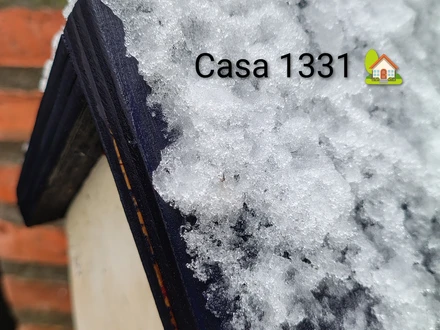 Alquiler temporario de casa en San martin de los andes