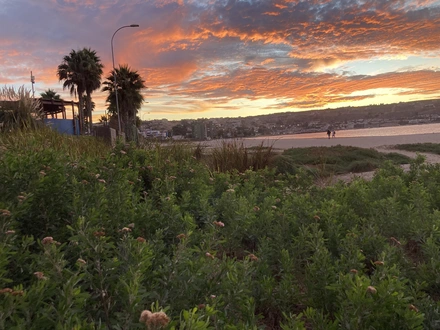 Arriendo temporario de departamento en La herradura , coquimbo