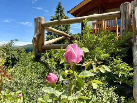 Alquiler temporario de cabana em San martín de los andes
