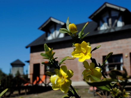 Alquiler temporario de cabana em Tandil