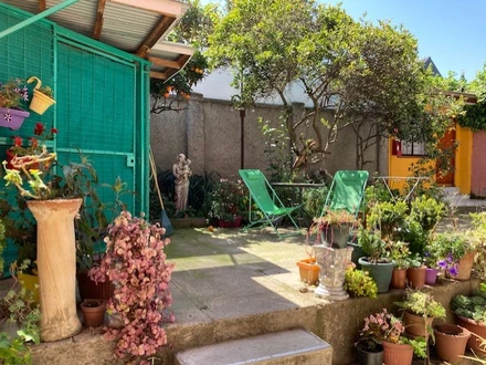 Arriendo temporario de cabana em Viña del mar