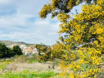 Alquiler temporario de casa em Tandil