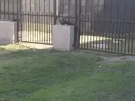Alquiler temporario de casa em Necochea