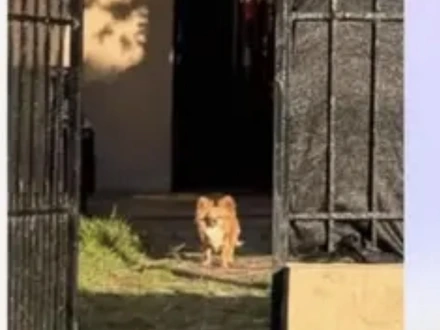 Alquiler temporario de casa em Necochea