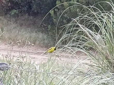 Alquiler temporario de casa em Mar azul