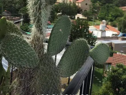 Alquiler temporario de apartamento em Carlos paz