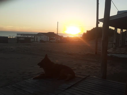 Alquiler temporario de apartamento em Monte hermoso