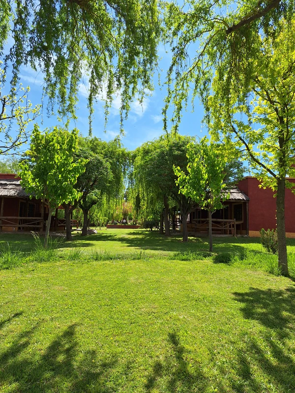 Alquiler temporario de cabaña en San rafael