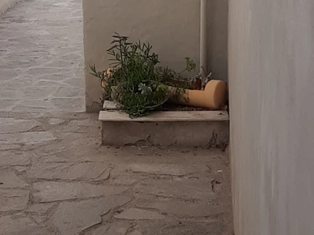 Alquiler temporario de casa em Puerto madryn