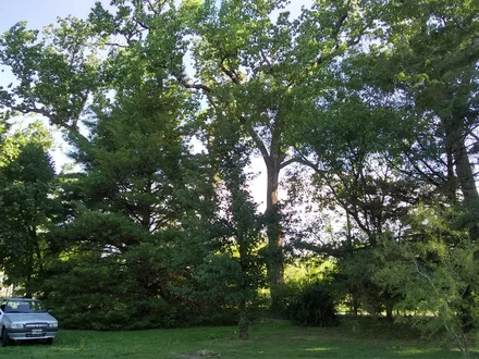 Alquiler temporario de casa en Villa 25 de mayo