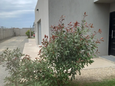Alquiler temporario de casa em Necochea