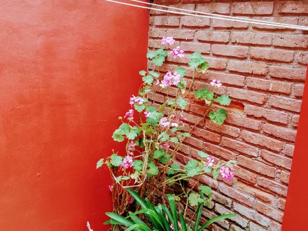 Alquiler temporario de casa en Villa gesell