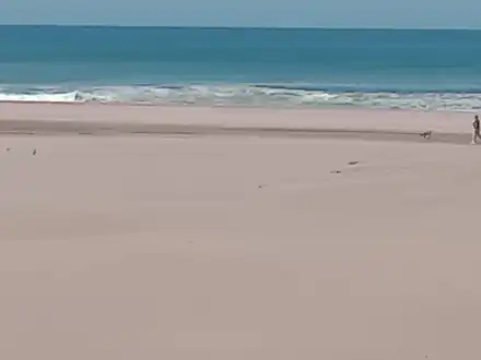 Alquiler temporario de casa em Necochea