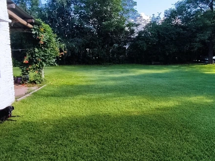 Alquiler temporario de casa em Mina clavero