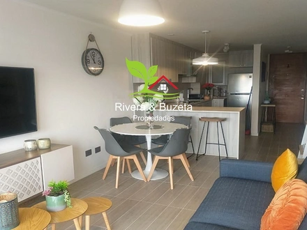 Arriendo temporario de apartamento em La serena