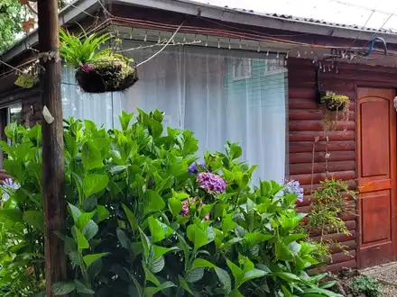 Arriendo temporario de caba&ntilde;a en Villarrica