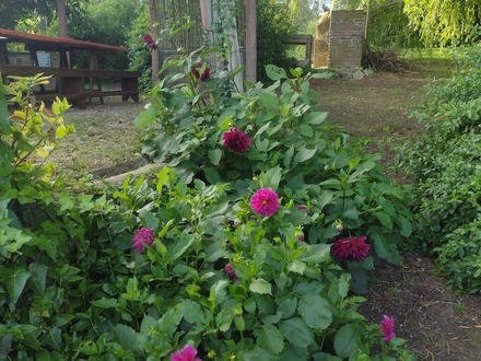 Alquiler temporario de casa en Sierra de los padres