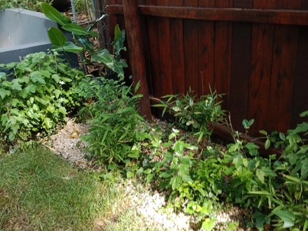 Alquiler temporario de apartamento em Pinamar