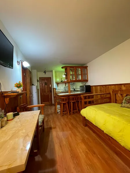 Arriendo temporario de apartamento em Pucon
