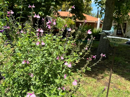 Alquiler temporario de casa em Miramar