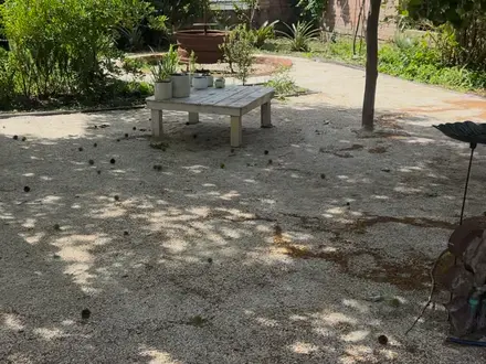 Alquiler temporario de casa em Miramar