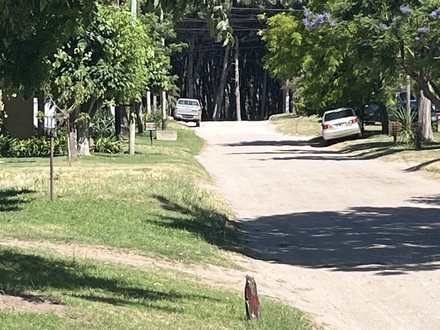 Alquiler temporario de casa en Necochea