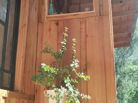 Alquiler temporario de cabana em Necochea