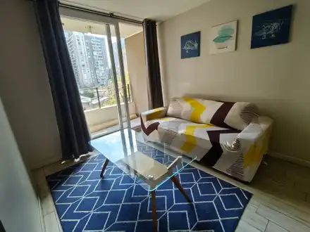 Arriendo temporario de apartamento em Santiago