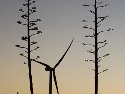 Alquiler temporario de casa em Necochea