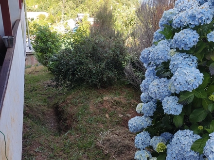 Arriendo temporario de cabana em Valdivia