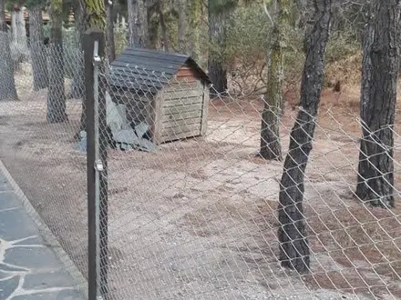 Alquiler temporario de casa en Mar de las pampas