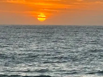 Arriendo temporario de departamento en Algarrobo