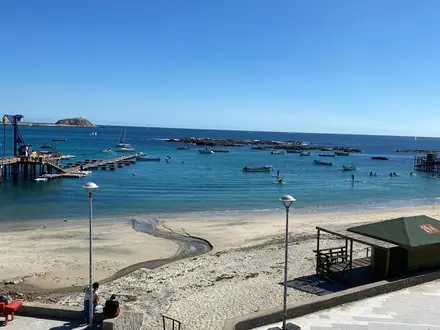 Arriendo temporario de departamento en Algarrobo