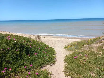 Alquiler temporario de casa em Quequén