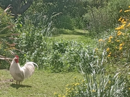Alquiler temporario de casa en Tandil