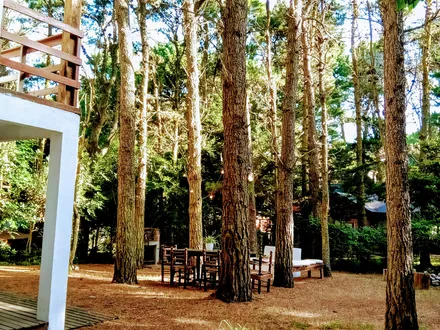 Alquiler temporario de casa en Mar de las pampas