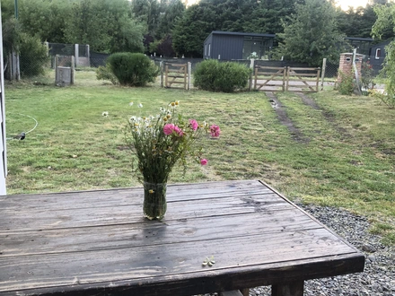 Alquiler temporario de casa en San mart&iacute;n de los andes