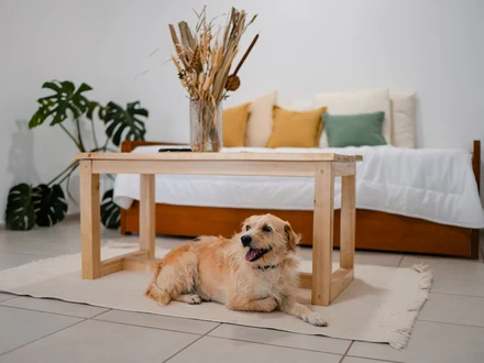 Alquiler temporario de apartamento em General roca