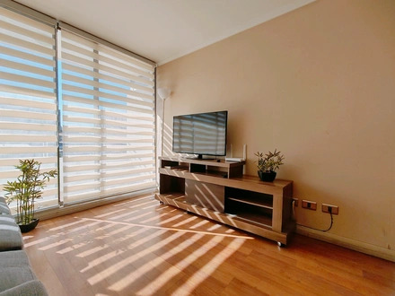 Arriendo temporario de departamento en Vi&ntilde;a del mar