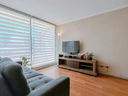 Arriendo temporario de departamento en Vi&ntilde;a del mar