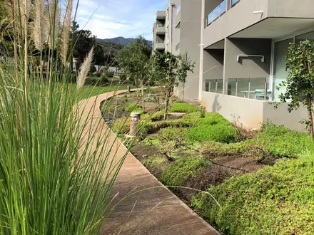 Arriendo temporario de apartamento em Papudo
